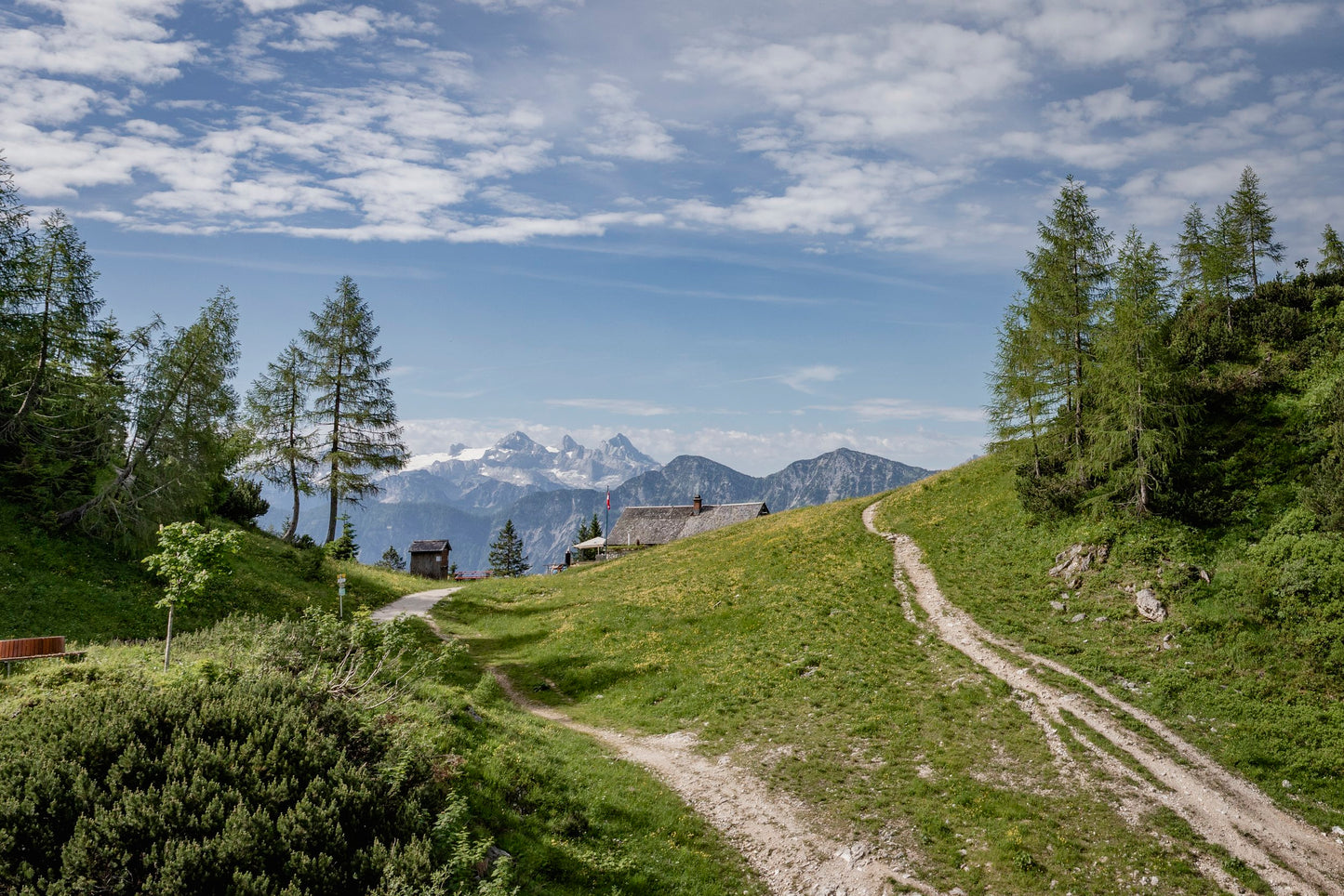 Atemfitness am Berg BAD ISCHL SO 15. Juni 2025